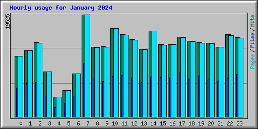 Hourly usage for January 2024