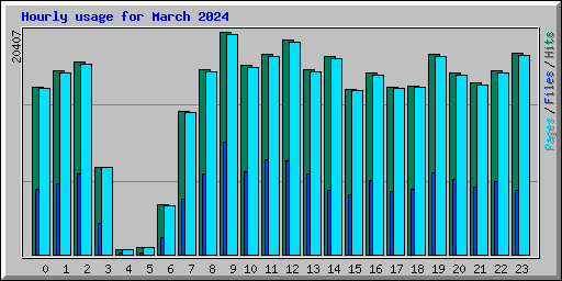 Hourly usage for March 2024