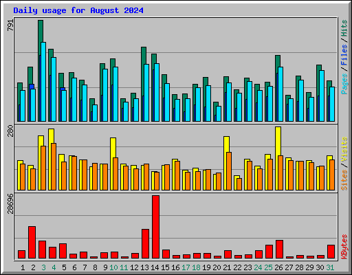 Daily usage for August 2024