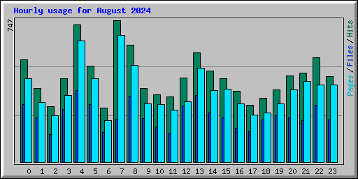 Hourly usage for August 2024