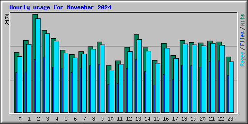 Hourly usage for November 2024