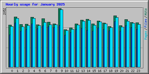 Hourly usage for January 2025