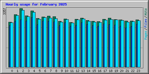 Hourly usage for February 2025