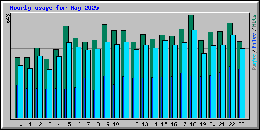 Hourly usage for May 2025