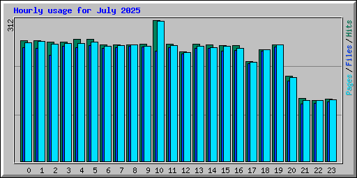 Hourly usage for July 2025