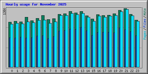 Hourly usage for November 2025