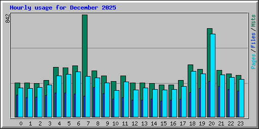Hourly usage for December 2025