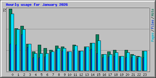 Hourly usage for January 2026