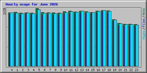 Hourly usage for June 2026